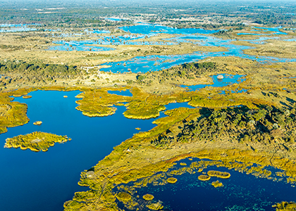 Udsigt over Okavango-deltaet i Botswana