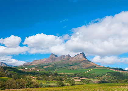 Winelands