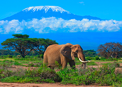 Kilimanjaro, Tanzania