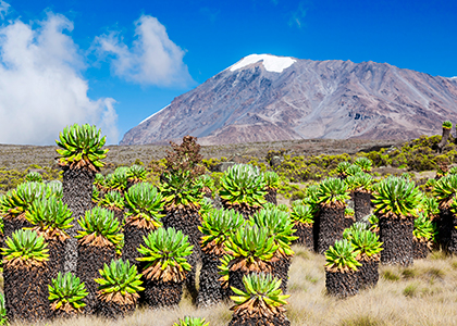 Uhuru Peak på toppen af mount Kilimanjaro