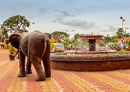 Elefant i byen Entebbe i Uganda